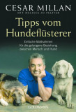 - Tipy od Dog Whisperer - jednoduchá opatření pro úspěšný vztah mezi člověkem a psem