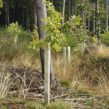  - TUBEX - Ventex růst a kryt , délka 1,20 m . Dlouhé 120 cm .