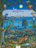 - Tiere in der Nacht - Mein erstes Wimmelbuch